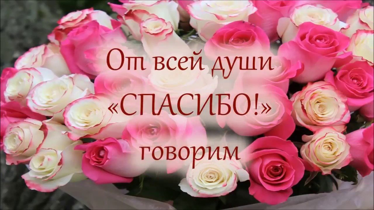Конкурс видеооткрыток.